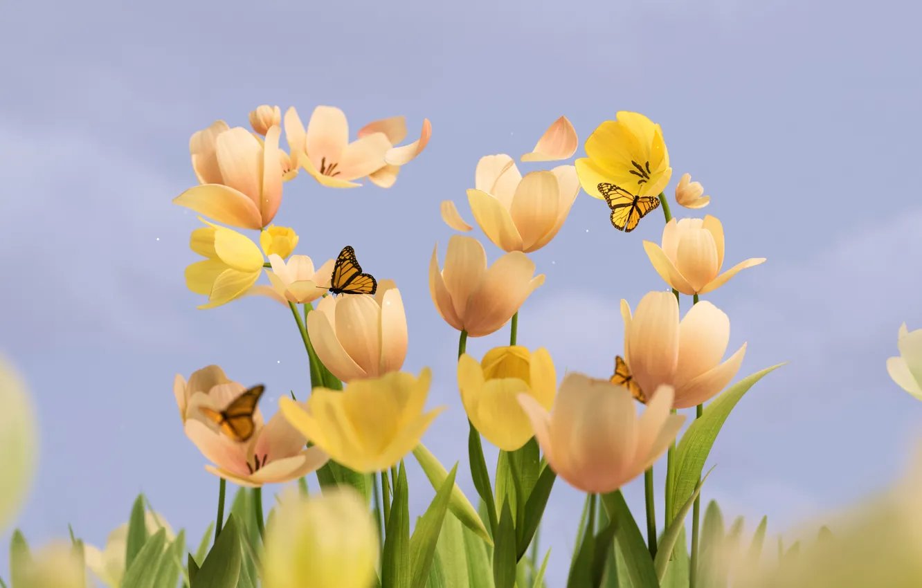 Photo wallpaper flowers, butterfly, Microsoft, windows, Microsoft Windows, bokeh, The 50th anniversary