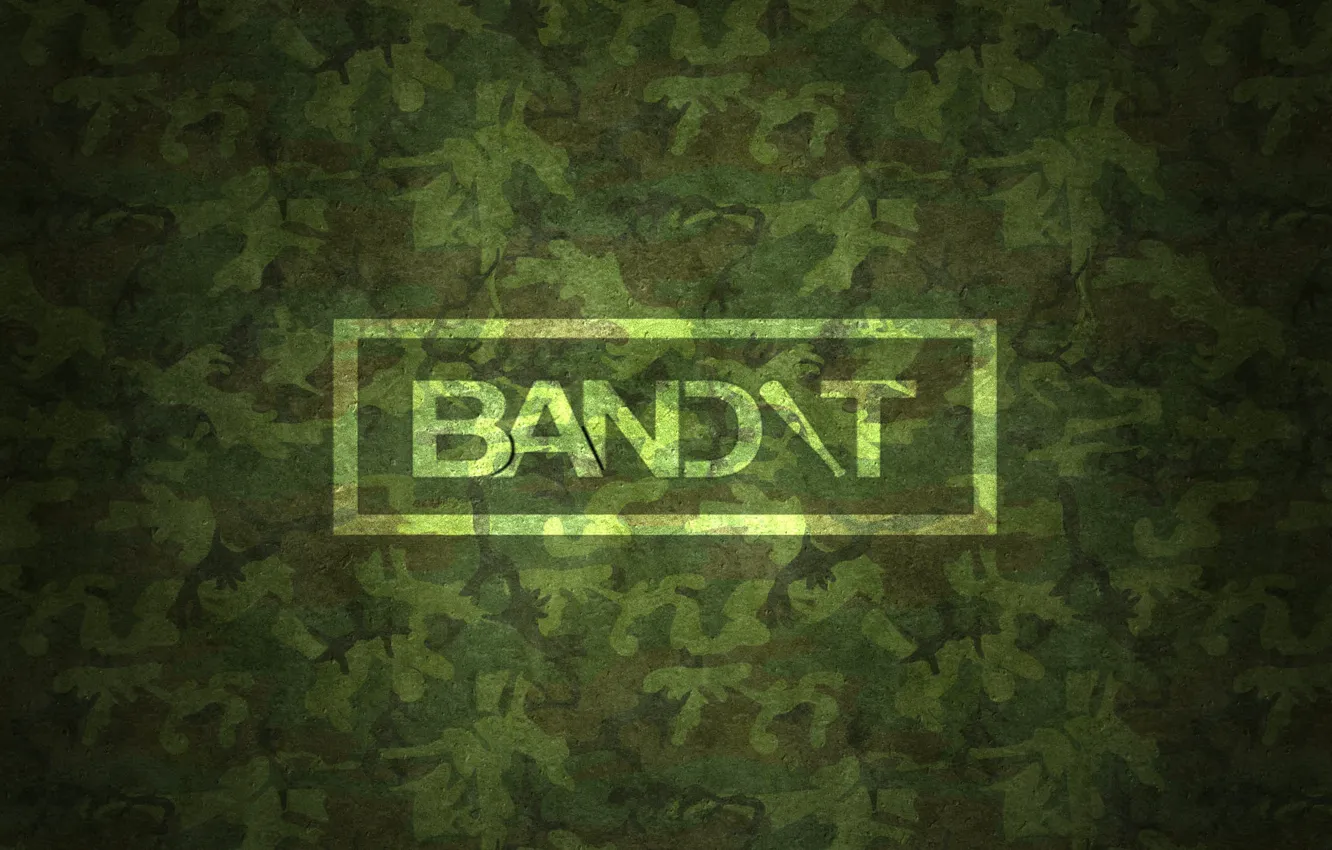 Photo wallpaper the bandits, Ukraine, interesting, on the desktop, military texture