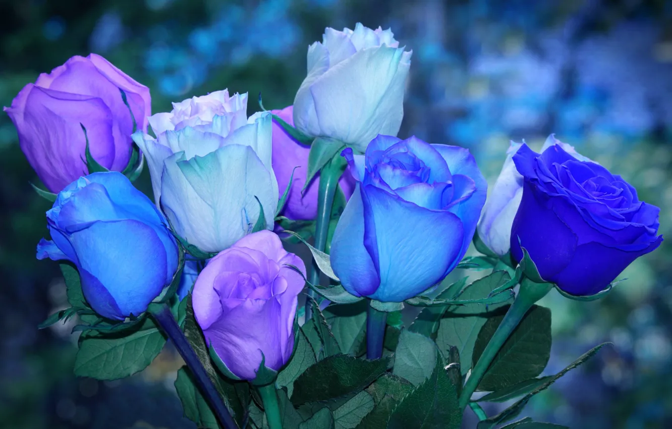 Photo wallpaper roses, neon, backlight