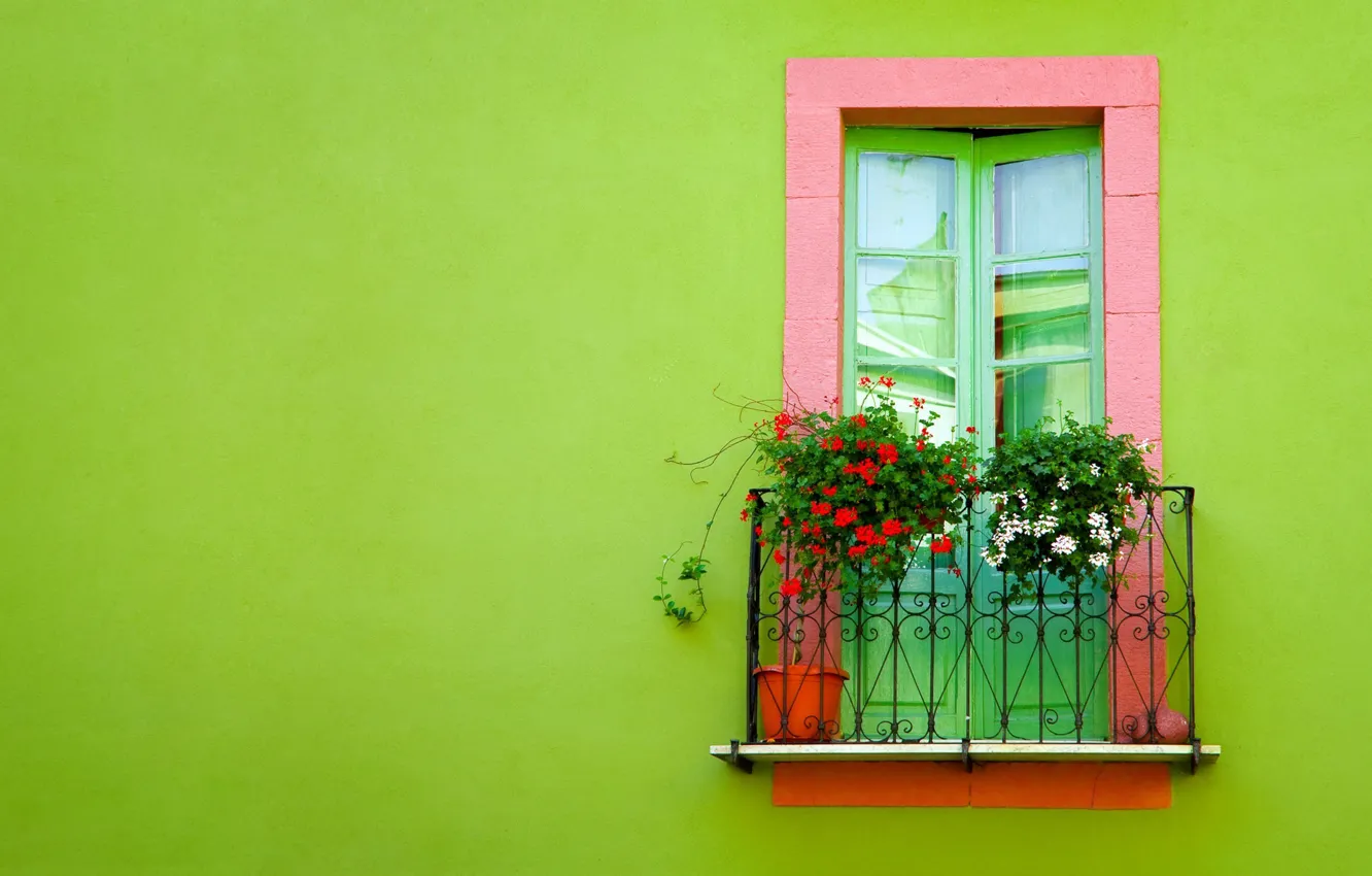 Photo wallpaper green, wall, Window, balcony