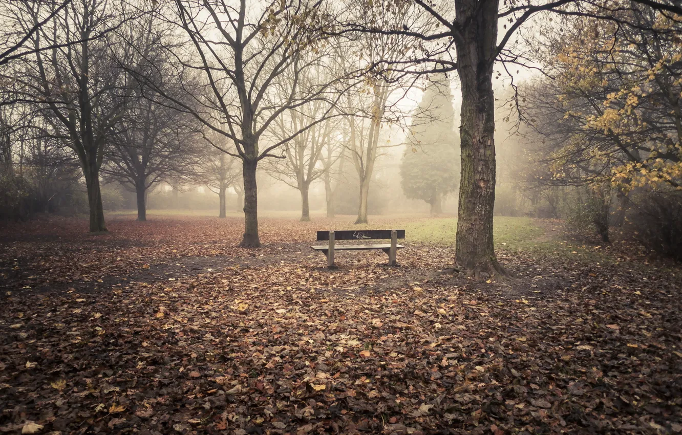 Photo wallpaper autumn, nature, Park, bench