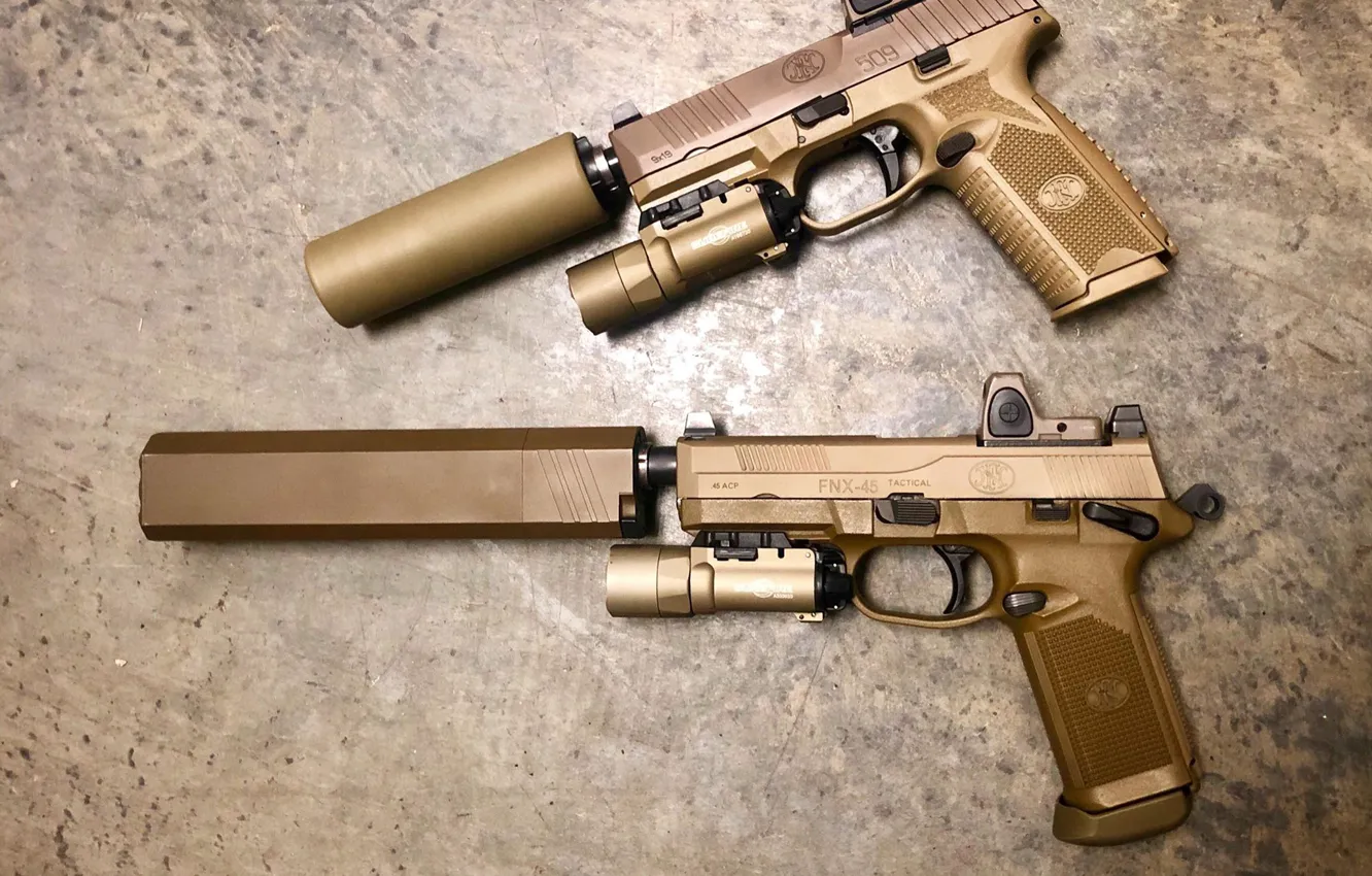 Photo wallpaper gun, weapons, muffler