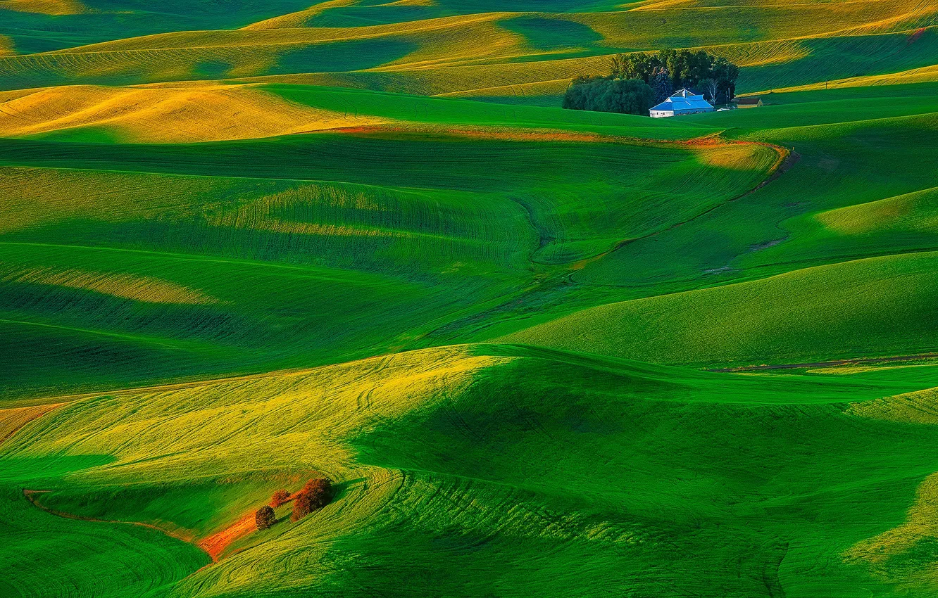 Photo wallpaper grass, house, hills, field, USA, Washington