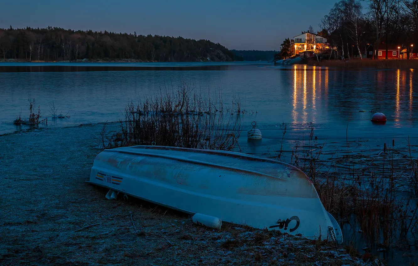 Photo wallpaper forest, trees, lights, river, shore, boat, home, the evening