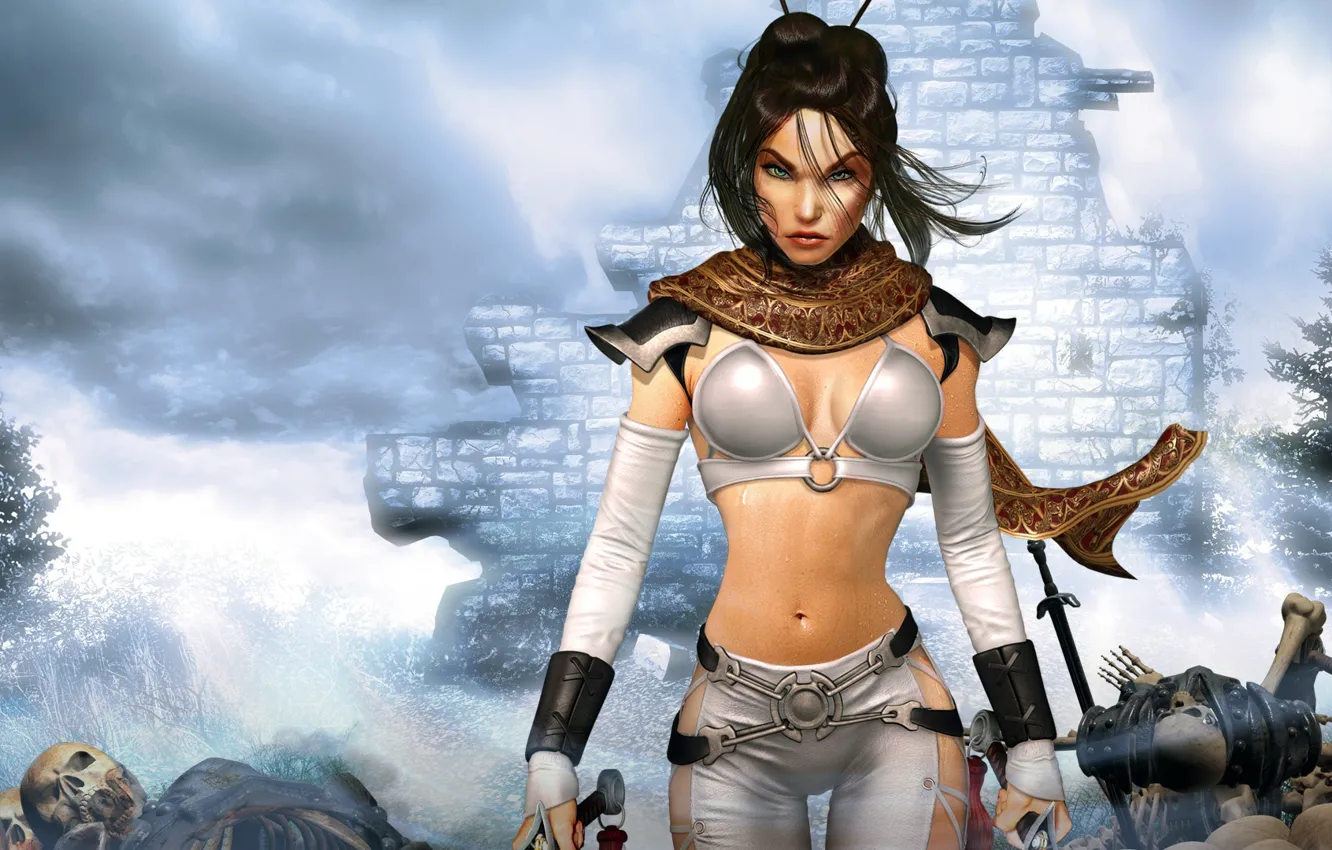 Photo wallpaper computer game, ruby and cut, Action/RPG, Dark Kingdom, Untold Legends, role fighter, Hack and slash
