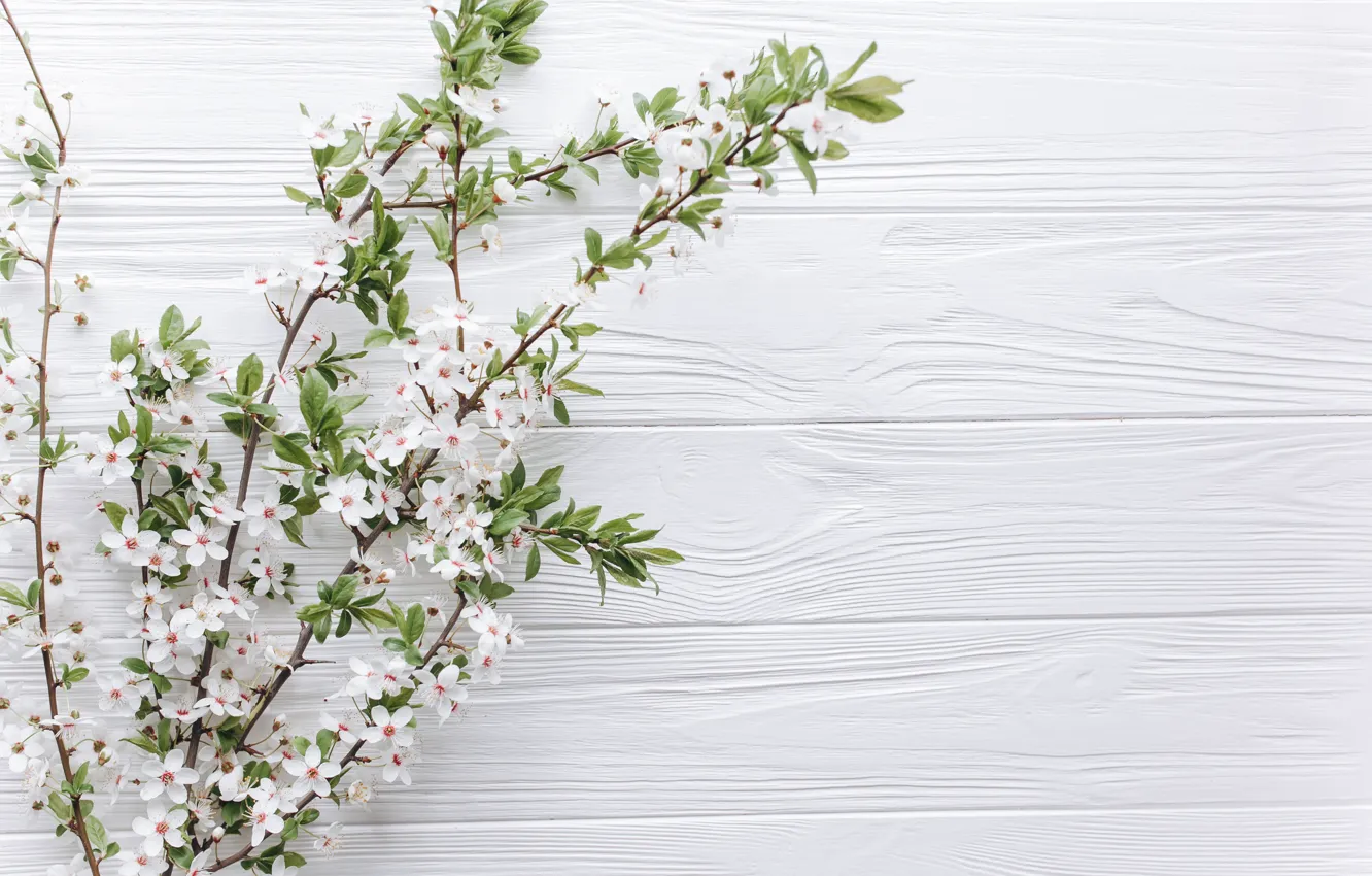 Photo wallpaper flowers, branches, nature, background, spring, flowering