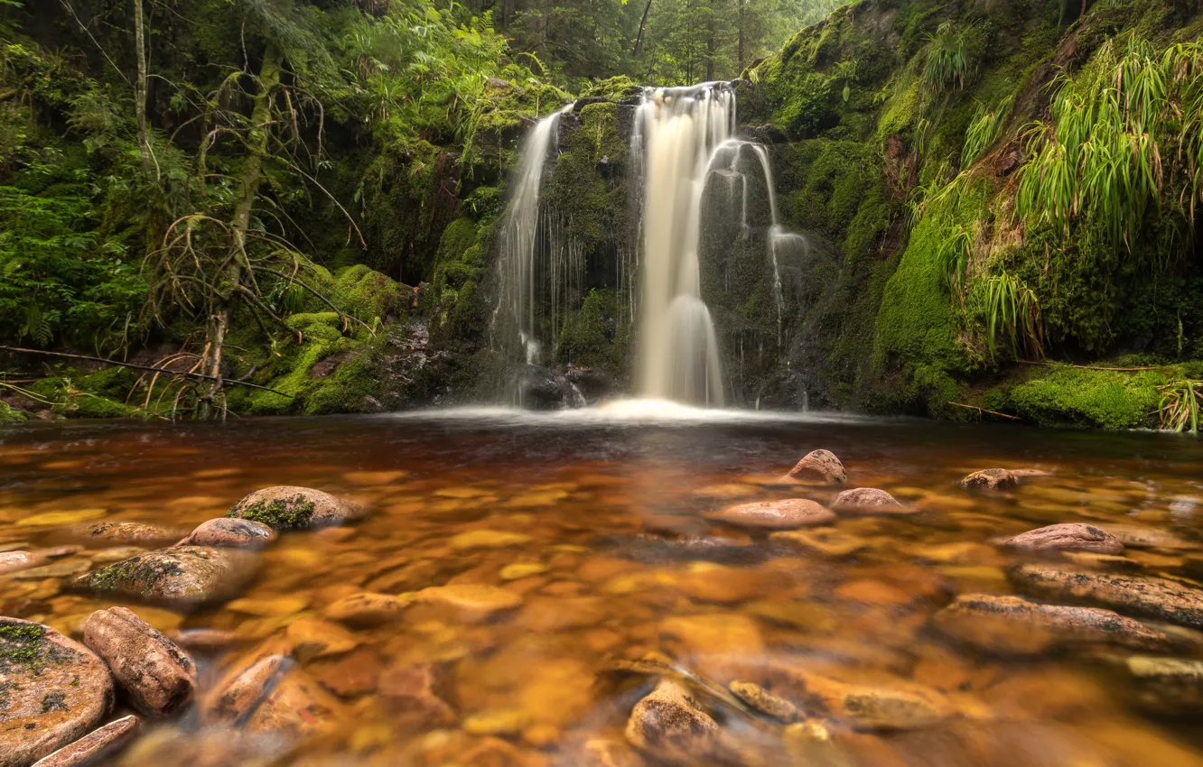 Photo wallpaper river, stones, waterfall, moss, Germany, cascade, Germany, Baden-Württemberg