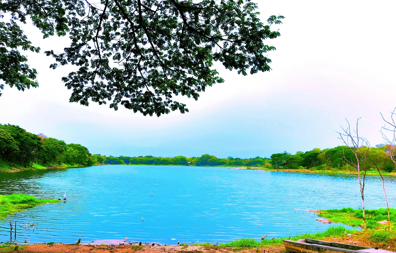 Photo wallpaper trees, water, lake, morning, sunrise, dawn, woods, reflection