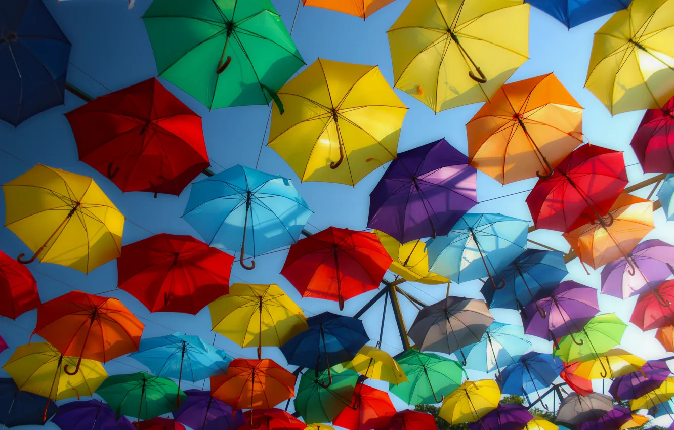 Photo wallpaper umbrella, mood, Hungary, Győr