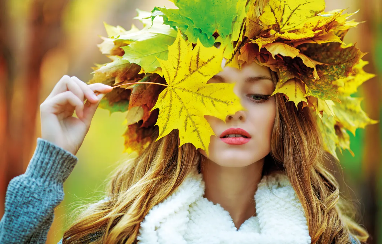 Photo wallpaper autumn, girl, girl, maple, woman, autumn, leaves, fall