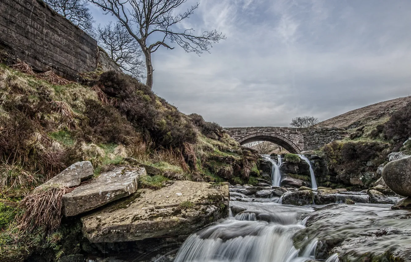 Photo wallpaper landscape, bridge, river