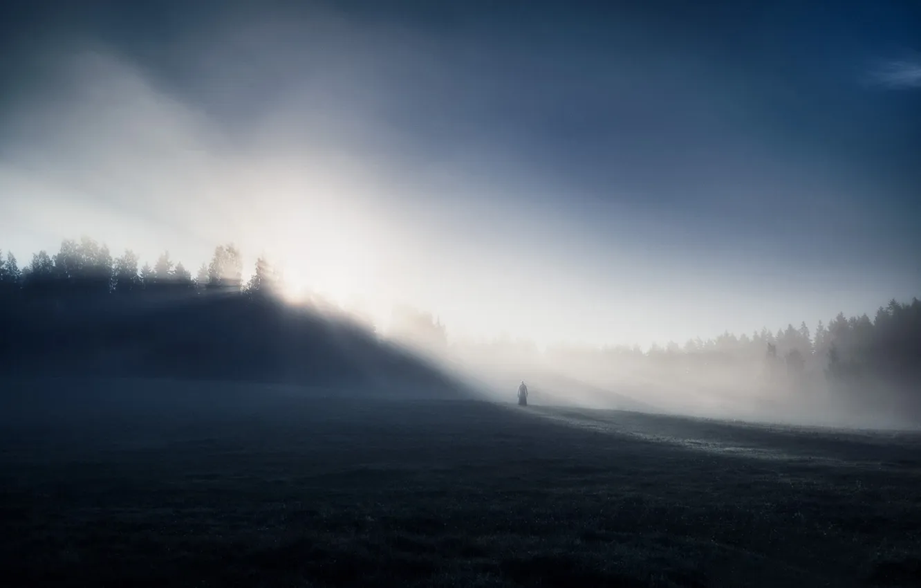 Photo wallpaper field, fog, morning, figure