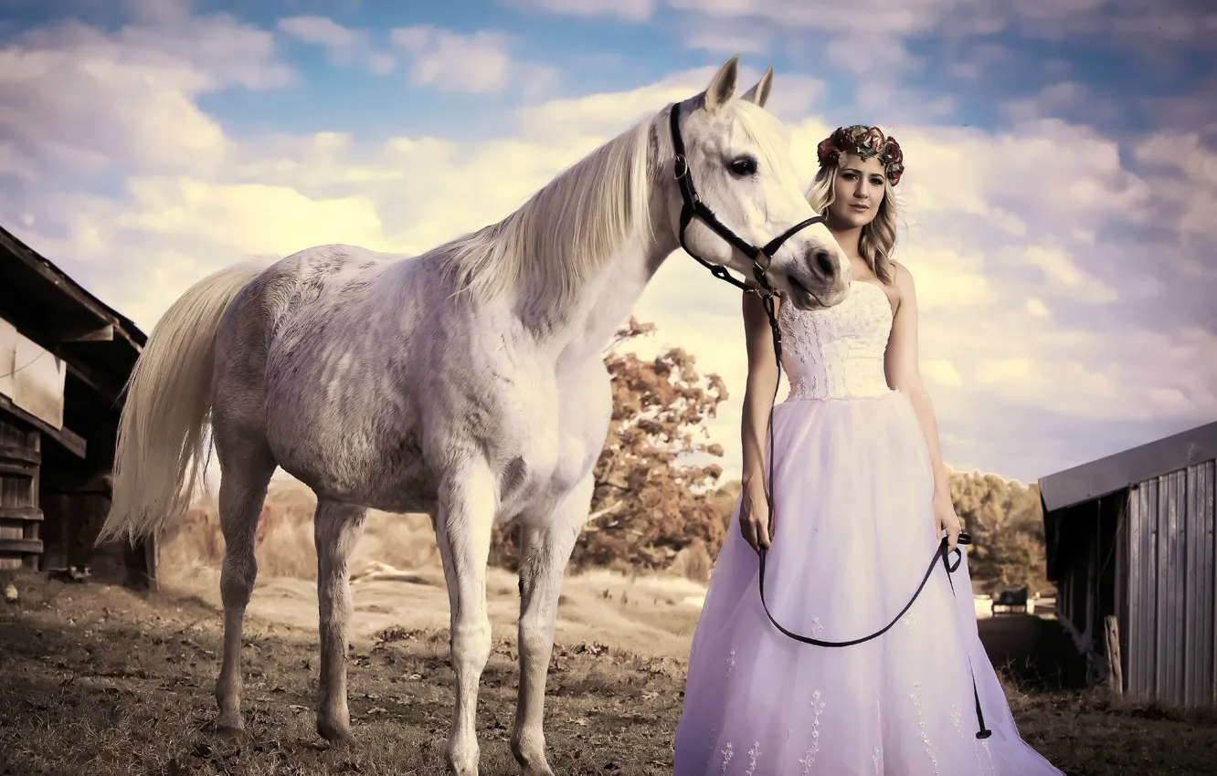 Photo wallpaper girl, nature, horse