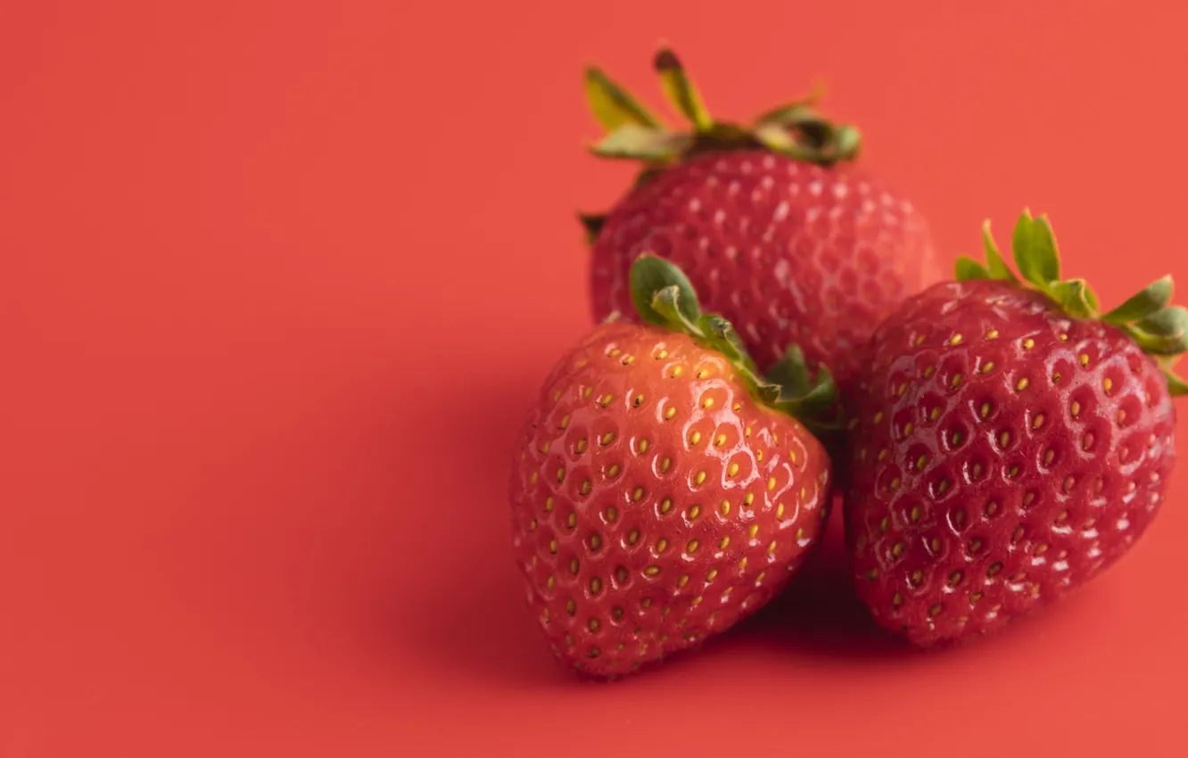 Photo wallpaper berries, strawberry, red background