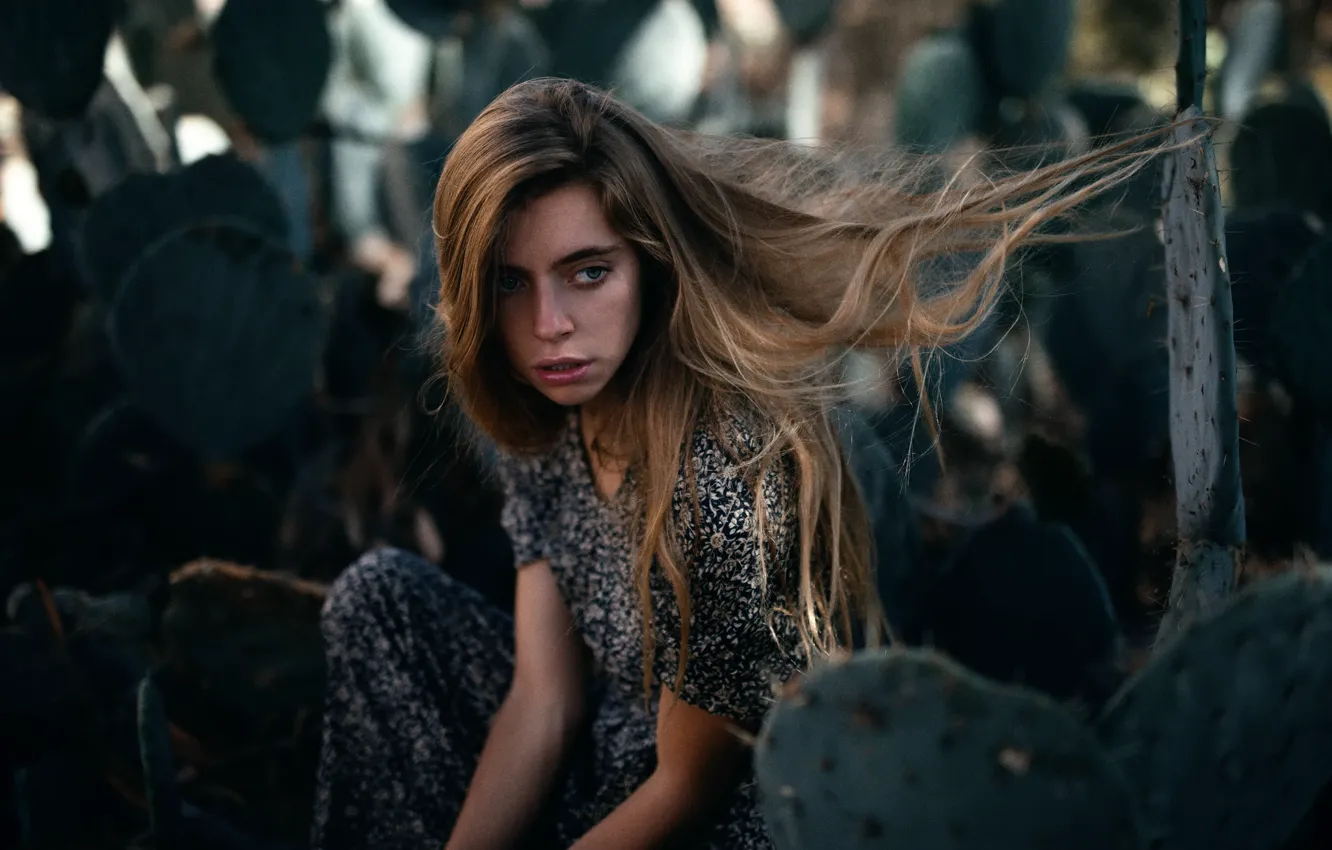 Photo wallpaper hair, cactus, Marta, Jesse Duke