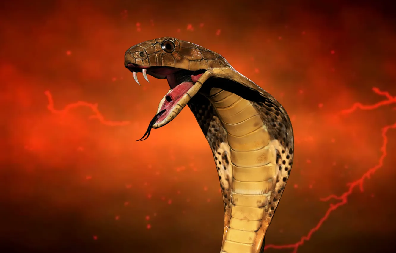 Photo wallpaper language, red, snake, fangs, Cobra, medicine
