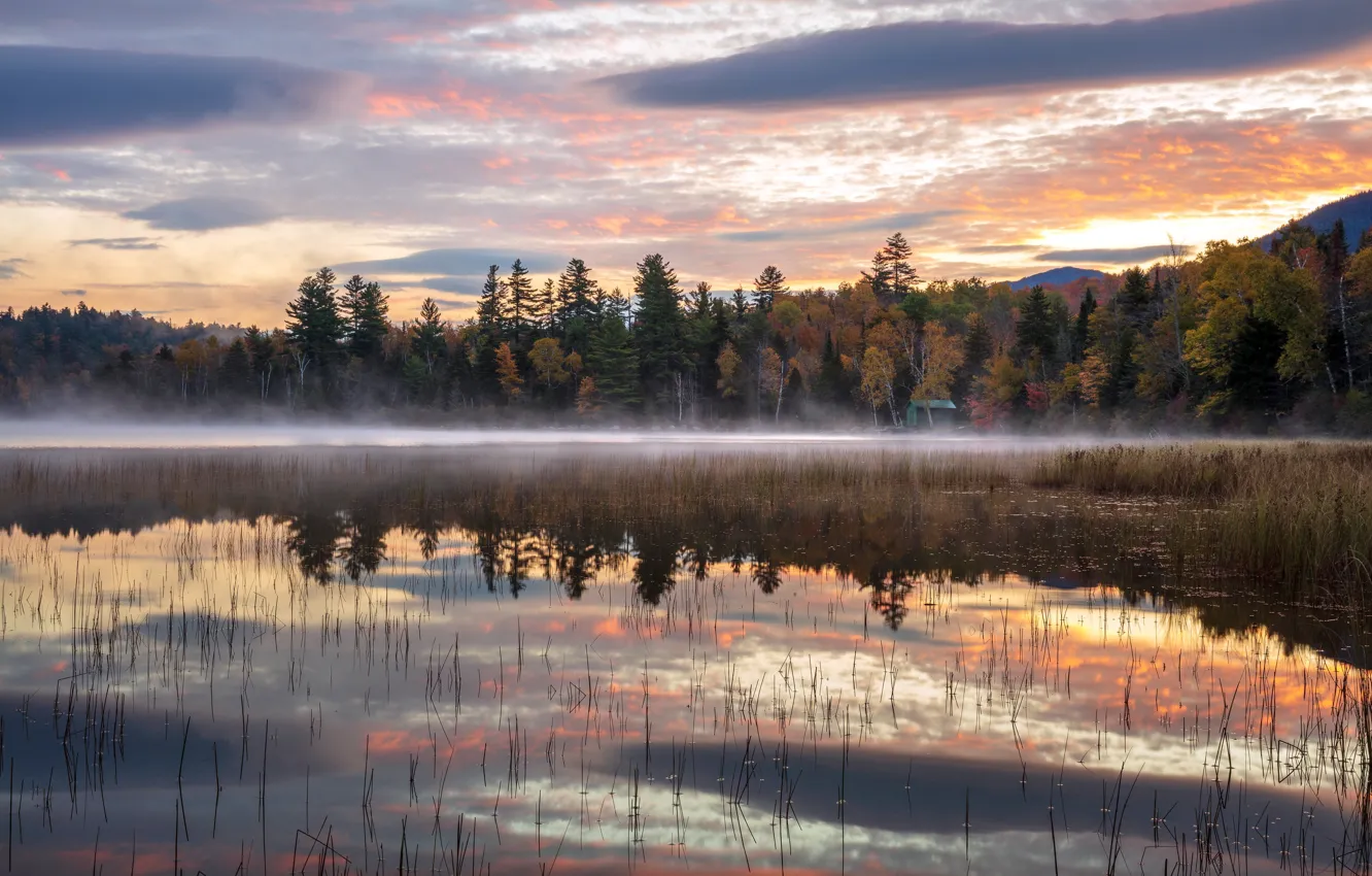 Photo wallpaper autumn, fog, lake