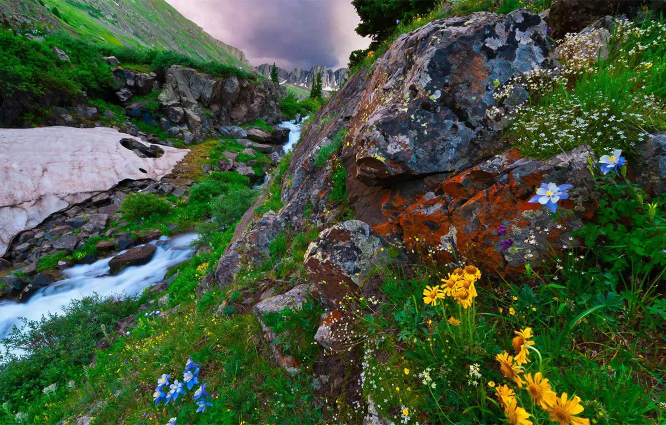 Photo wallpaper landscape, mountains, nature, stream, stones, vegetation, USA, New Mexico