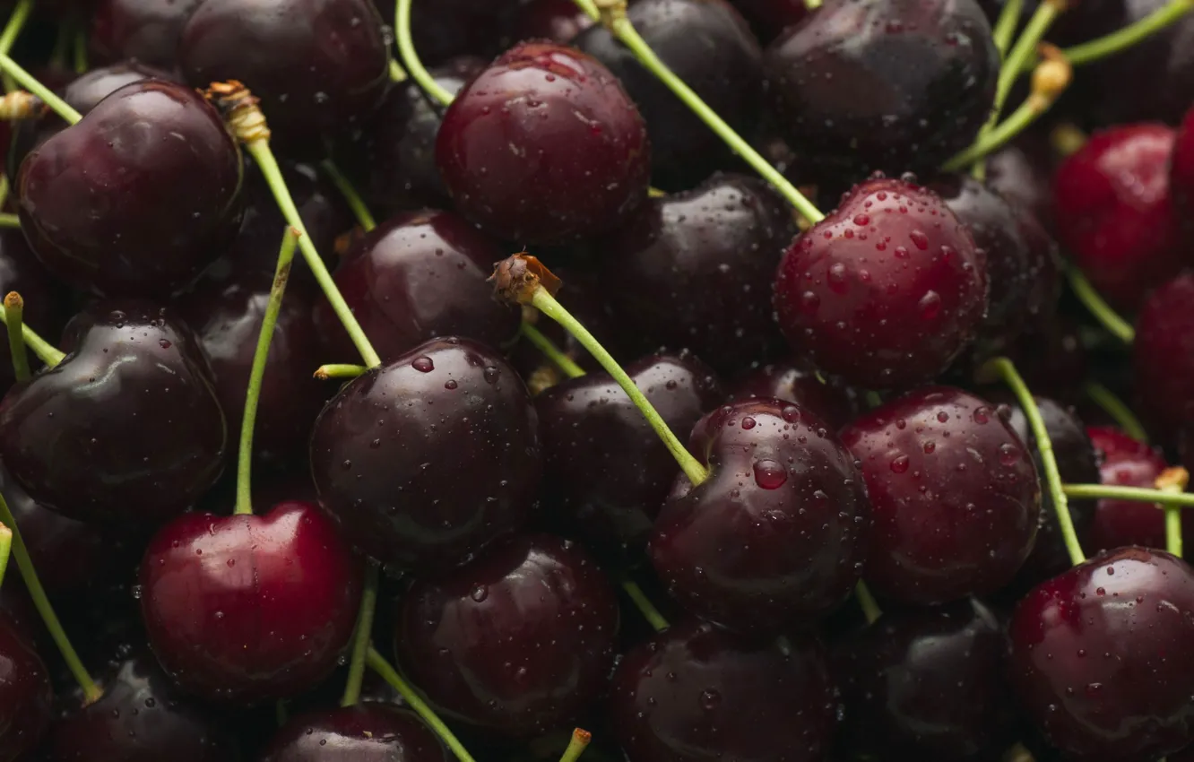 Photo wallpaper macro, berries, cherry