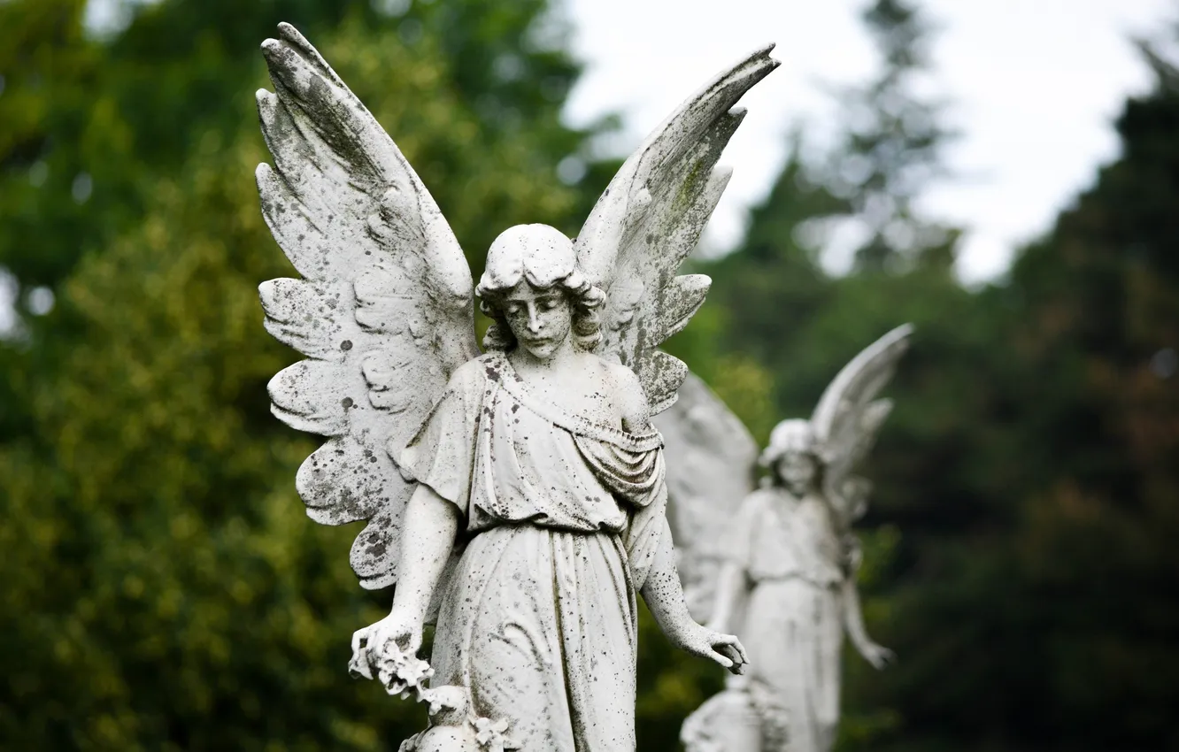 Photo wallpaper the city, sadness, wings, angel, sculpture