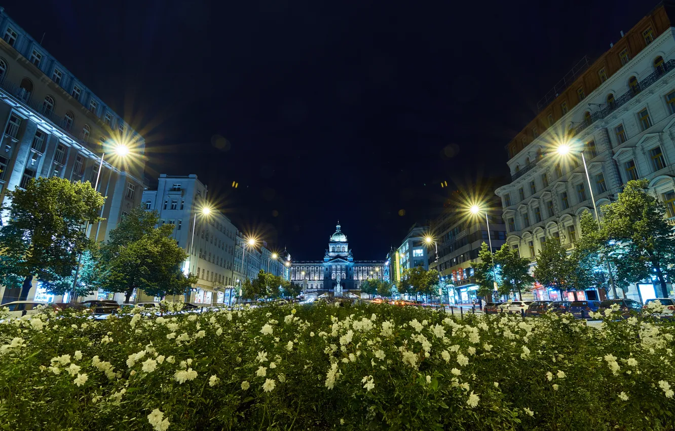 Photo wallpaper trees, flowers, night, the city, building, Prague, Czech Republic, lighting