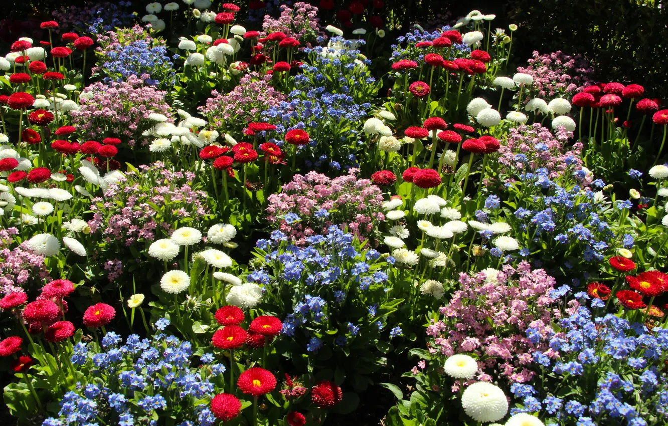 Photo wallpaper garden, spring, blooming, color flowers