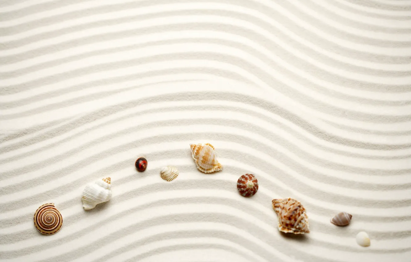 Photo wallpaper sand, wave, beach, line, nature, shell