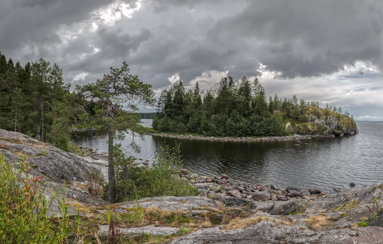 Photo wallpaper nature, river, island