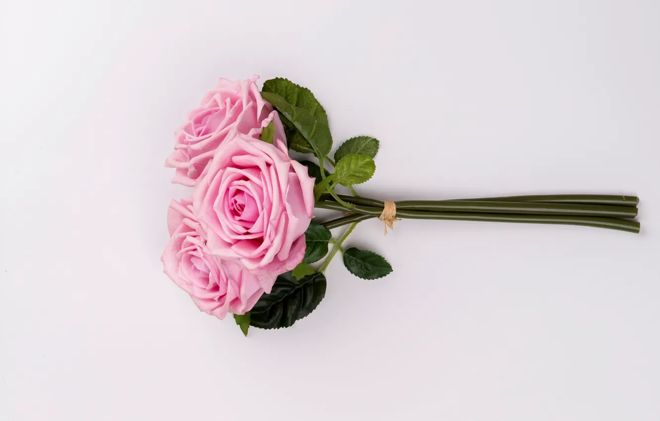 Photo wallpaper flowers, roses, bouquet, pink, pink, flowers, roses, tender