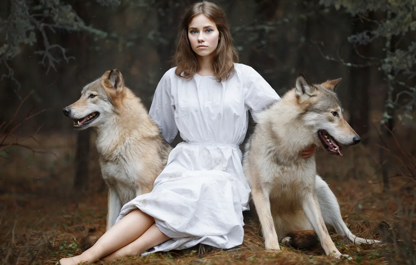 Photo wallpaper girl, wolf, Svetlana Nicotine