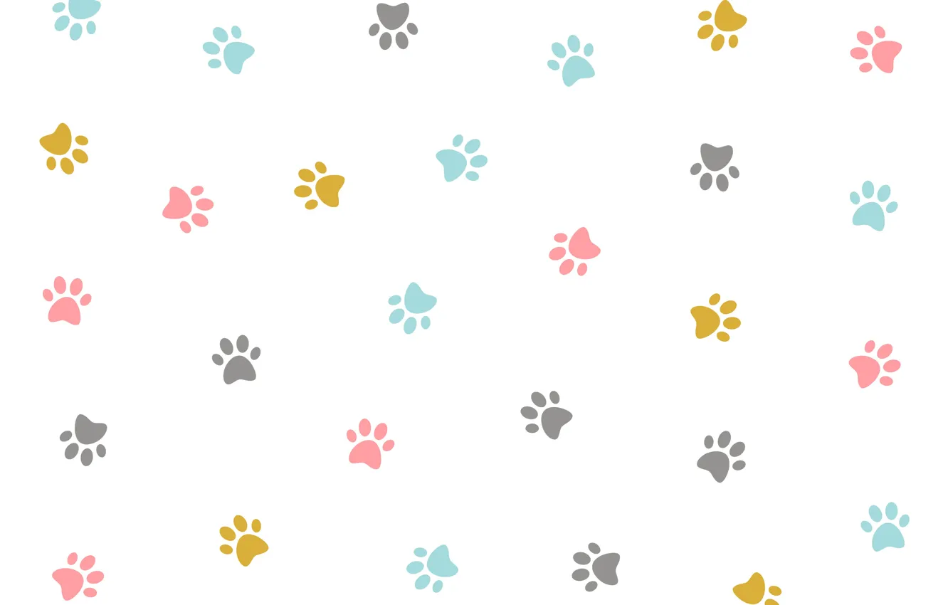 Photo wallpaper texture, colorful, white background, design, kitten, pattern