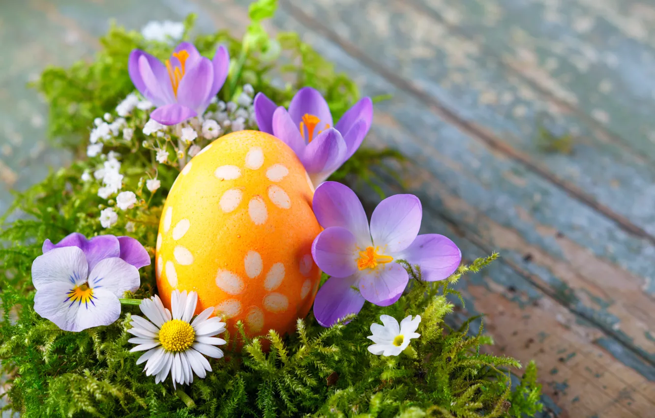 Photo wallpaper flowers, eggs, spring, Easter, flowers, spring, Easter, eggs, decoration, Happy