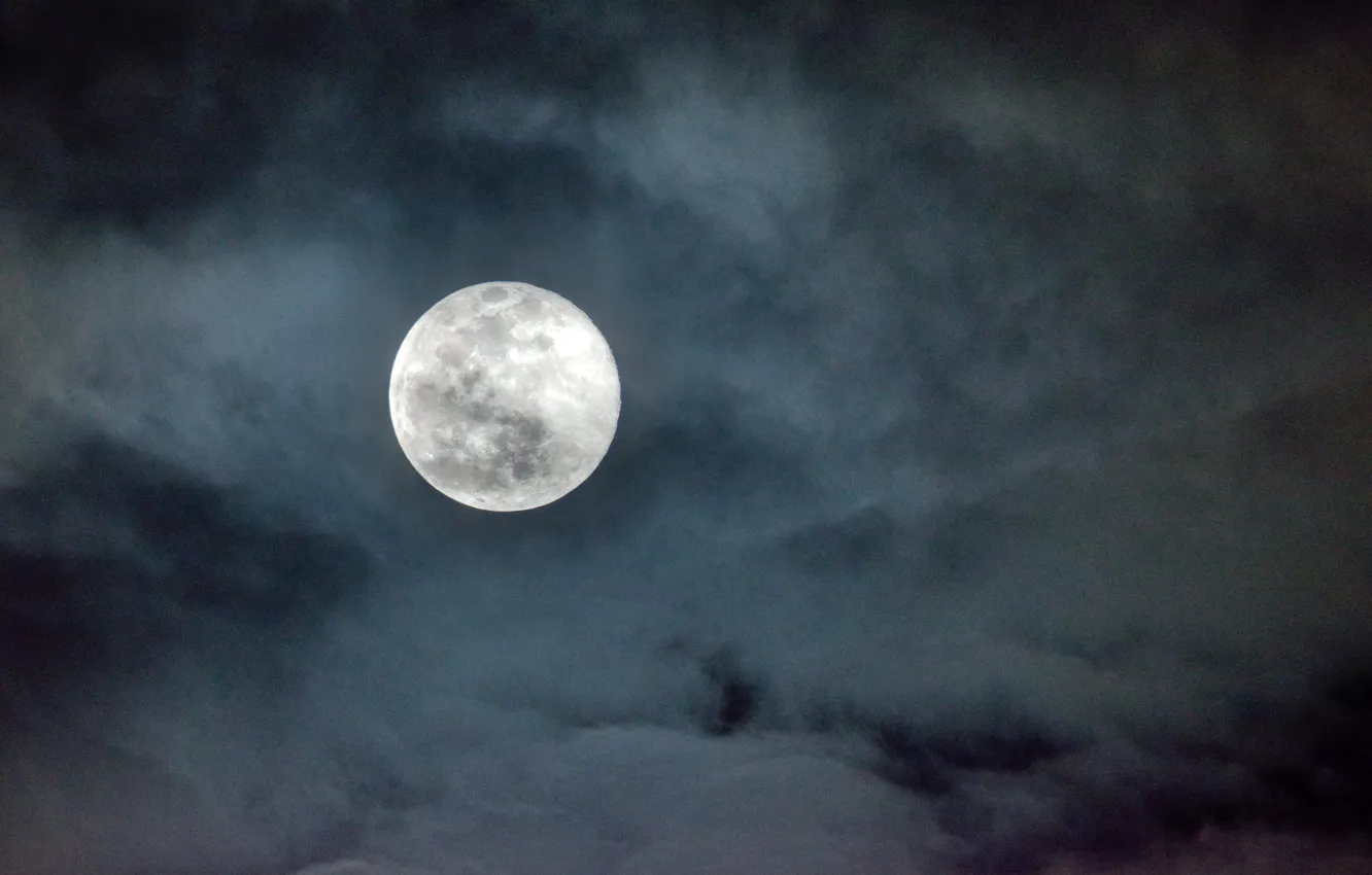 Photo wallpaper the sky, clouds, night, nature, the moon, the full moon