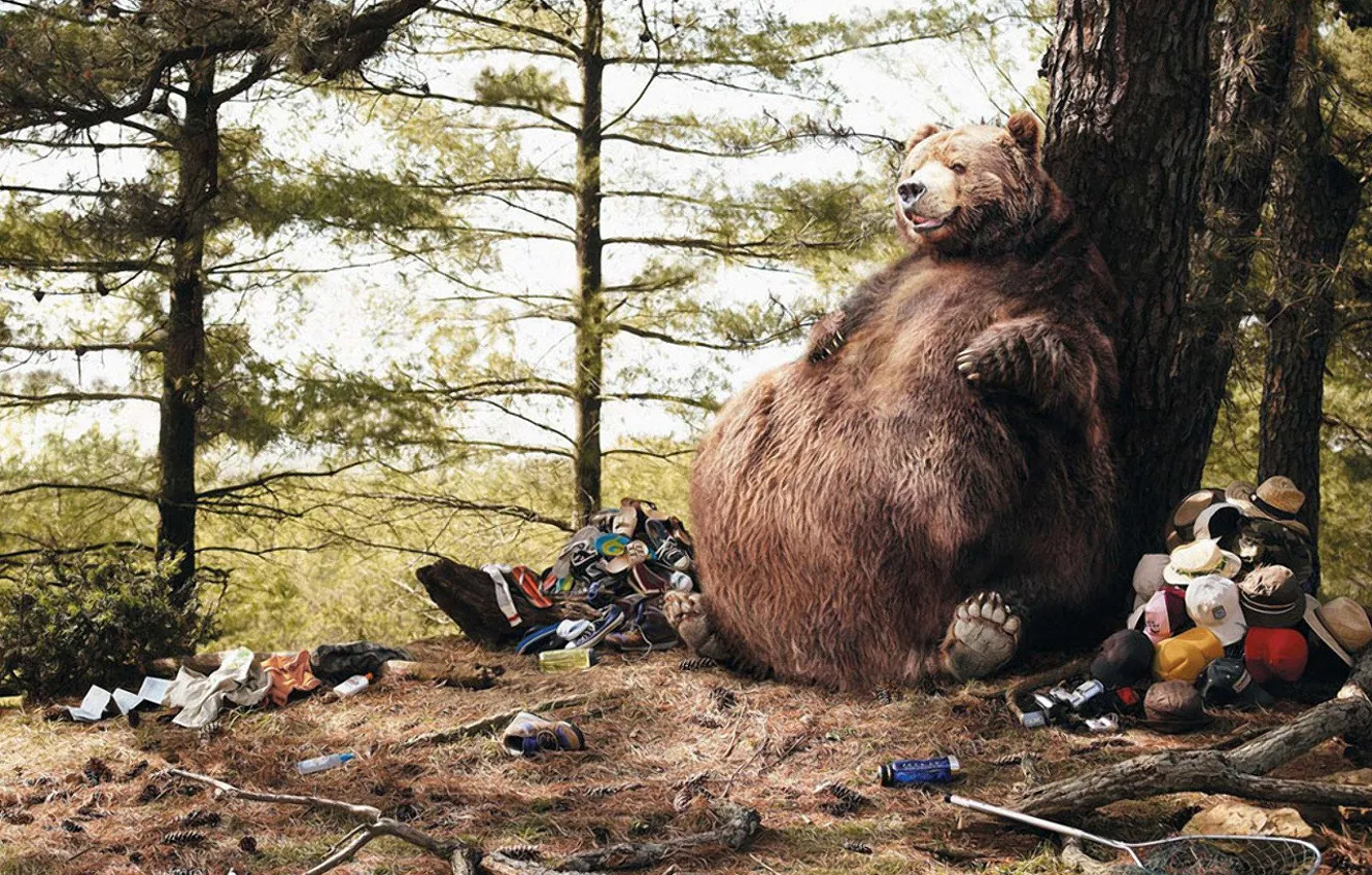 Photo wallpaper garbage, humor, bear, belly