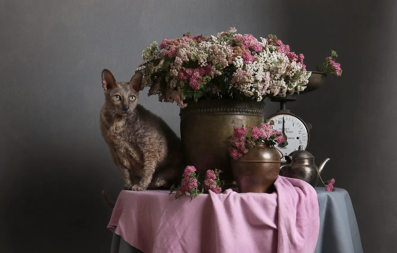 Photo wallpaper cat, cat, flowers, metal, table, bouquet, kettle, dishes