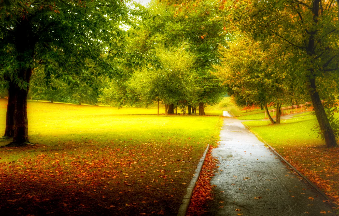 Photo wallpaper road, autumn, forest, leaves, trees, nature, Park, colors