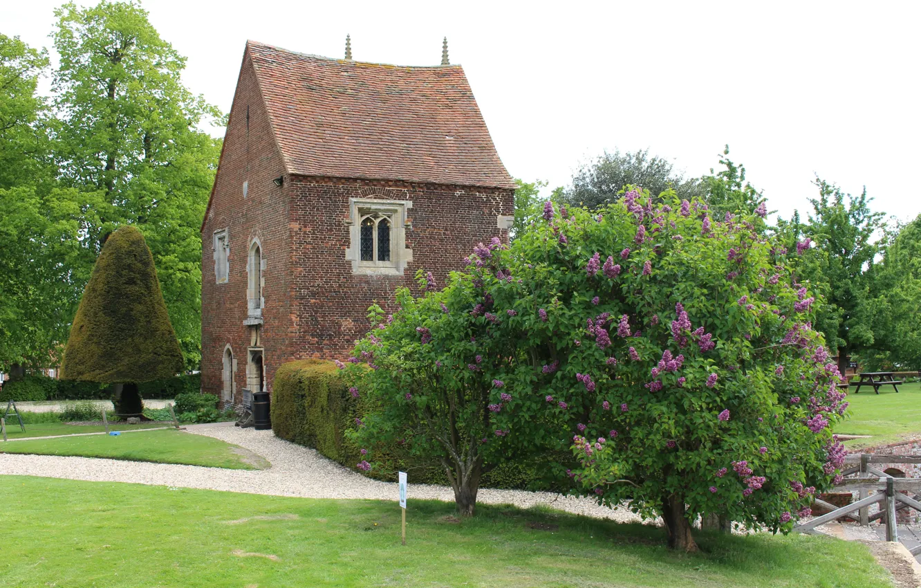 Photo wallpaper home, spring, yard, house, flowering, trees, nature, spring