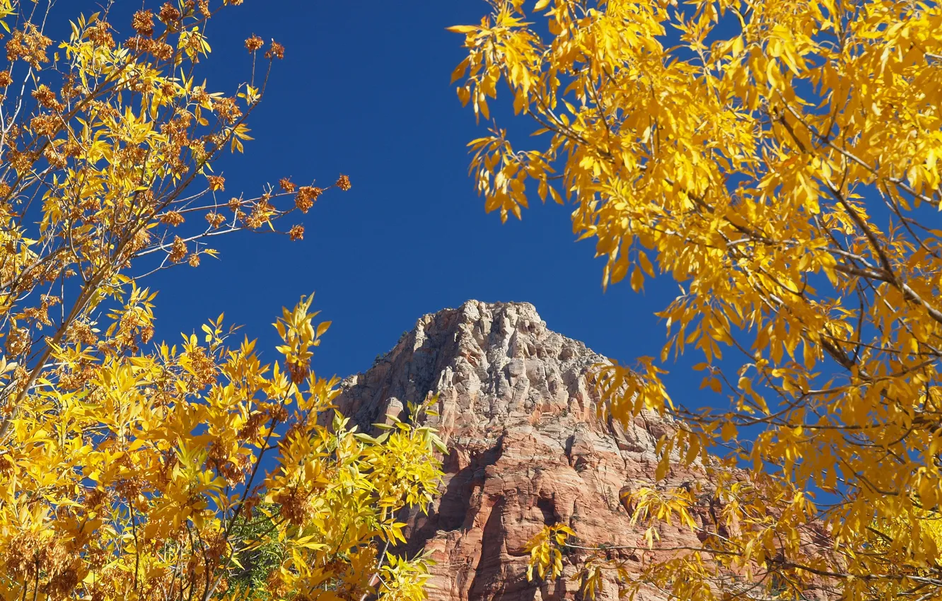 Photo wallpaper autumn, the sky, leaves, trees, rock, mountain