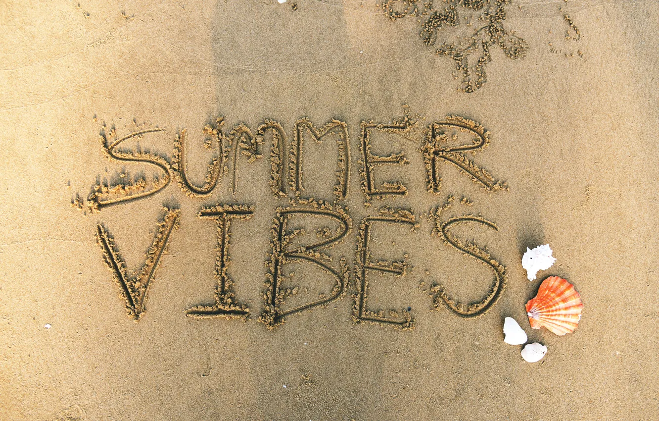 Photo wallpaper sand, beach, summer, shell, summer, beach, sea, sand