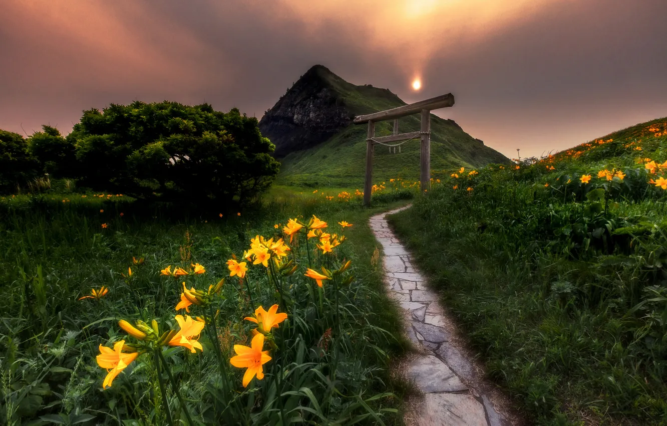 Photo wallpaper flowers, mountains, Asia, path