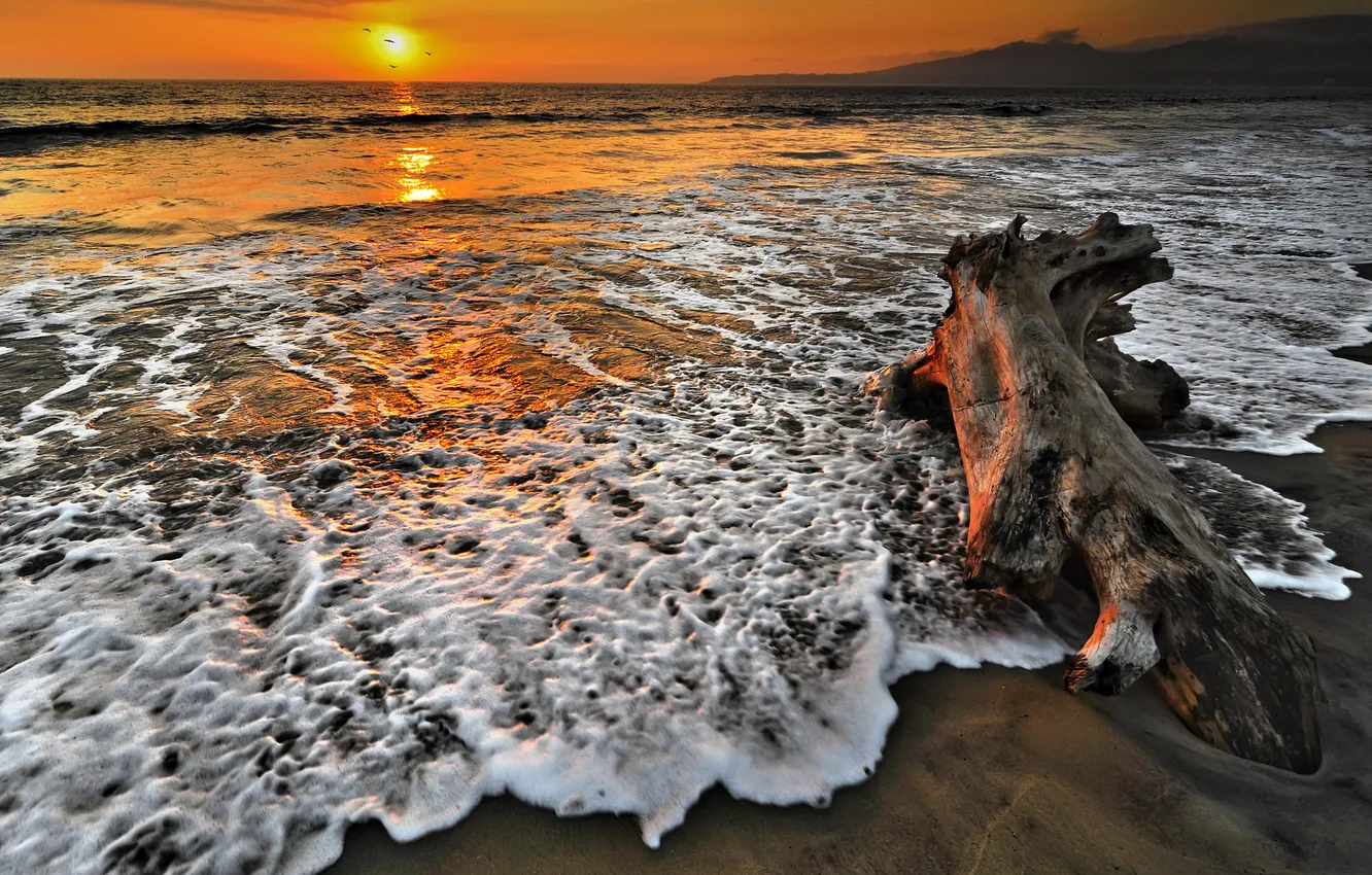 Photo wallpaper sand, sea, foam, sunset, log