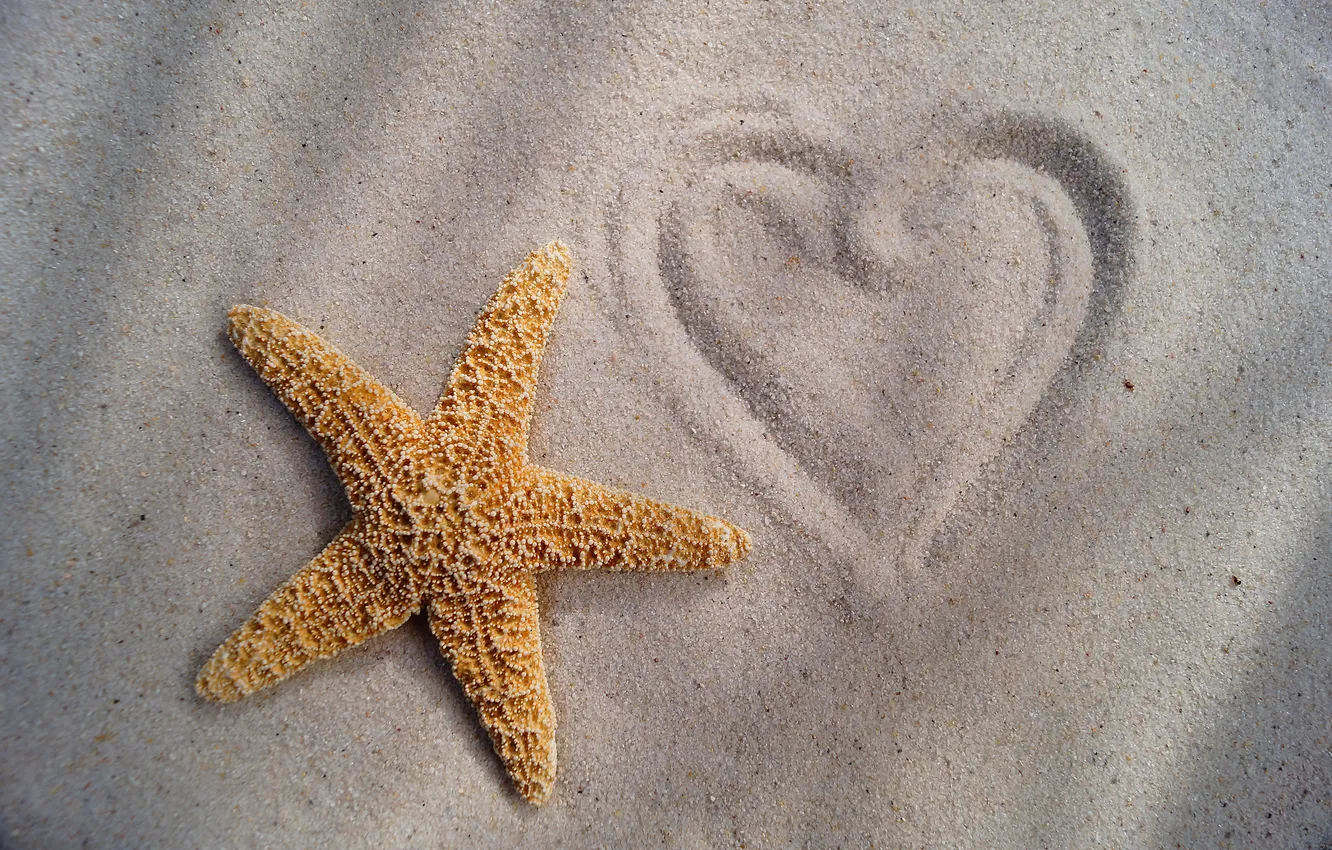Photo wallpaper sand, figure, hearts, starfish