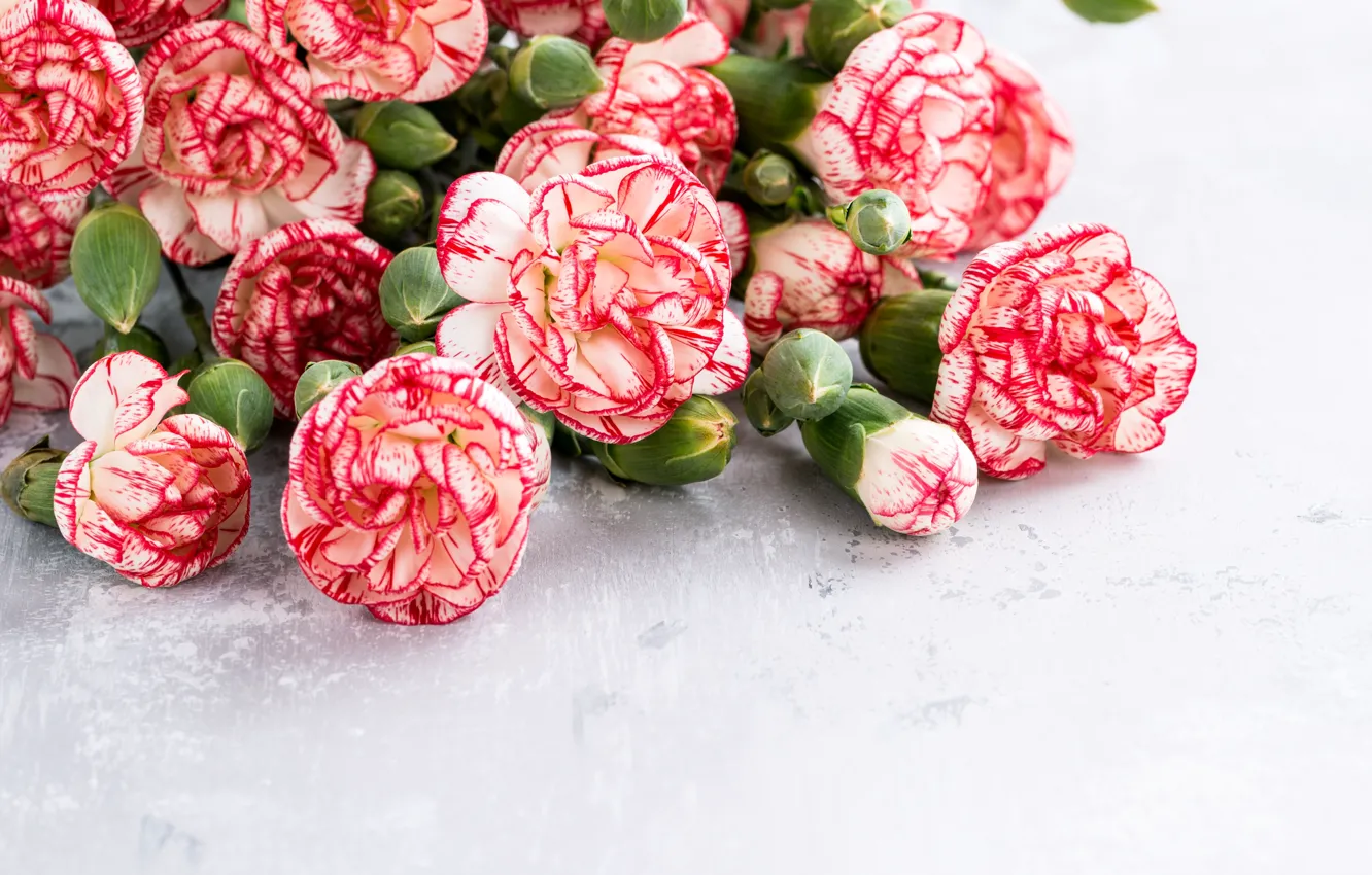 Photo wallpaper bouquet, pink, clove, Iryna Melnyk