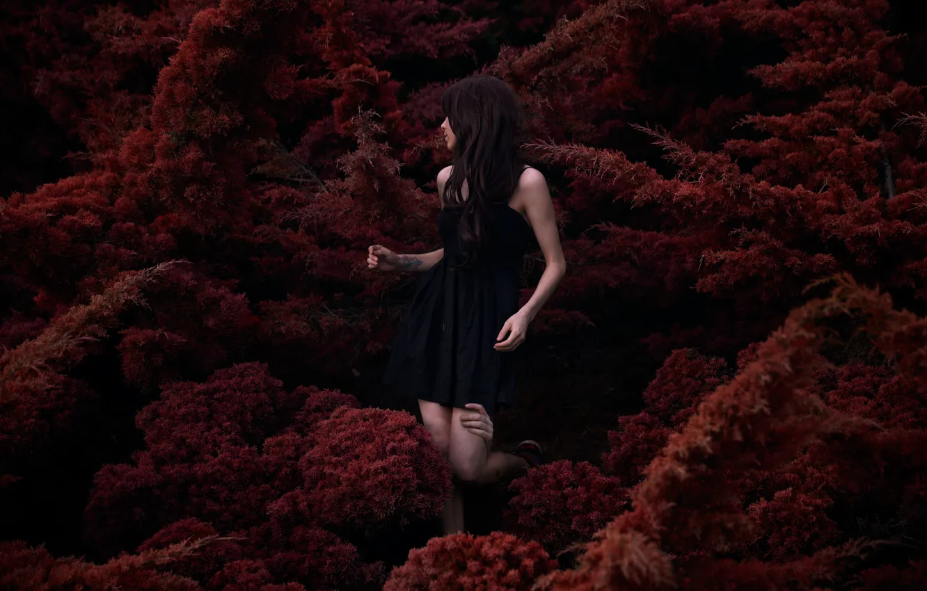 Photo wallpaper forest, girl, hands