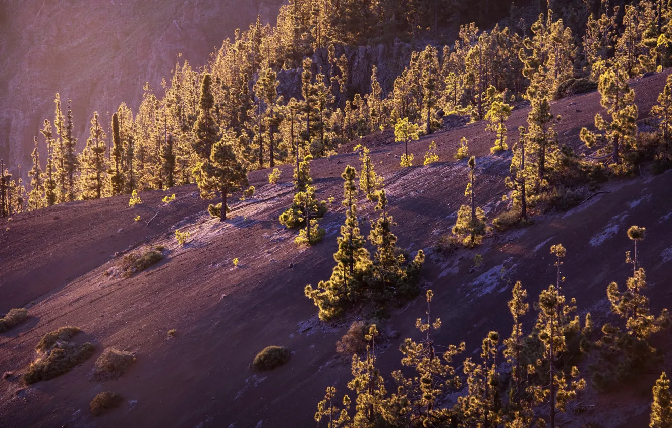 Photo wallpaper winter, mountains, morning