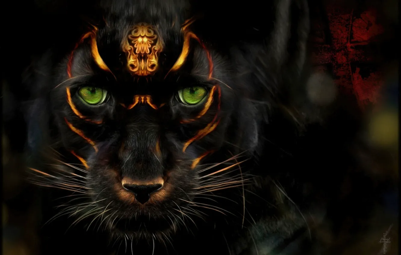 Photo wallpaper black, mystic, Panther, signs