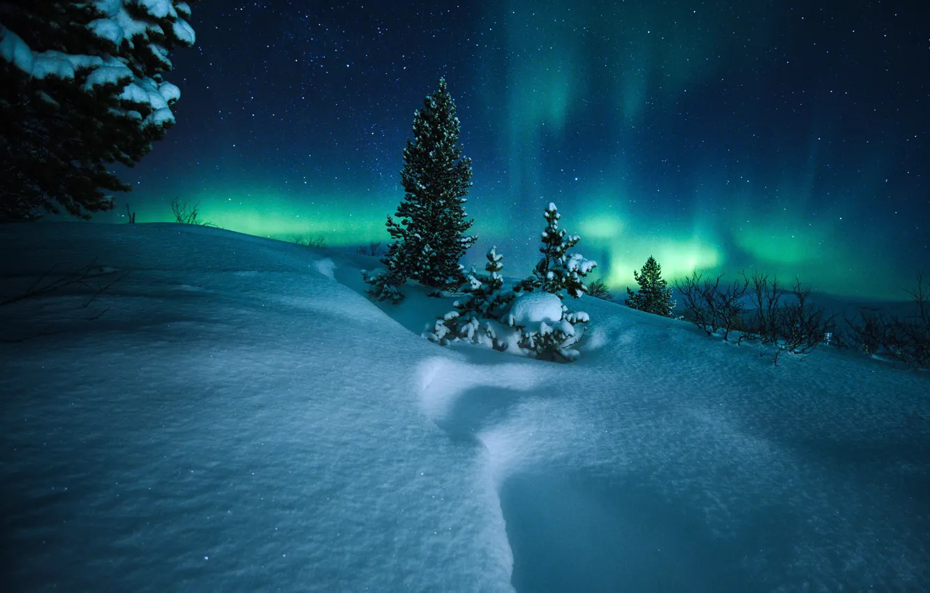 Photo wallpaper winter, snow, trees, night, Northern lights, Norway, the snow, Norway