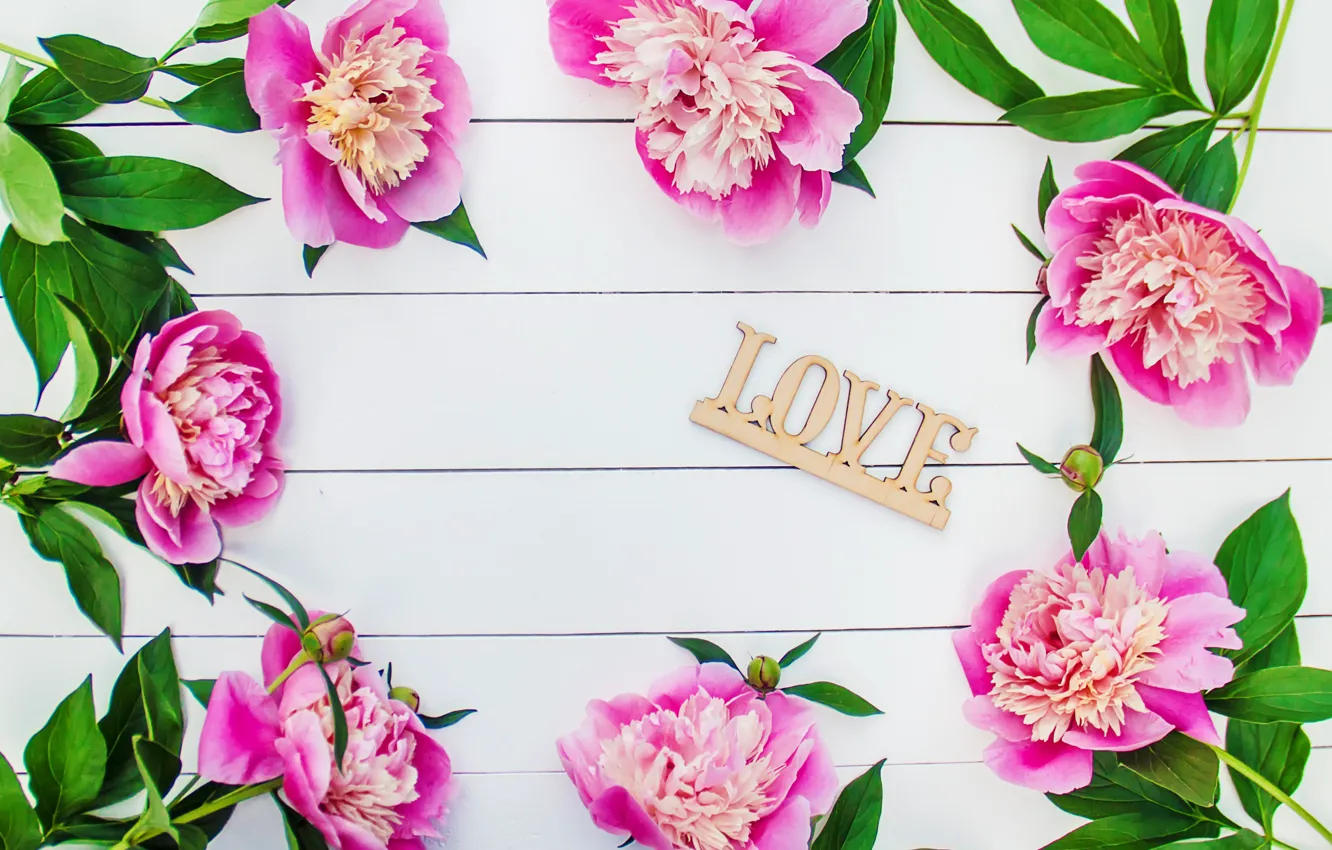 Photo wallpaper flowers, love, pink, wood, pink, flowers, beautiful, romantic