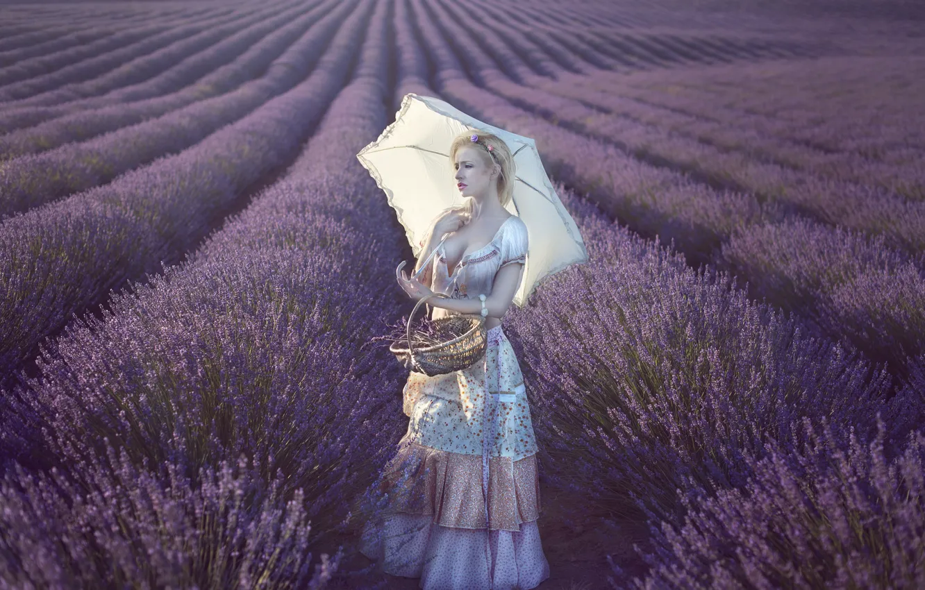 Photo wallpaper field, girl, umbrella, mood, dress, basket, lavender, Vanessa Galway
