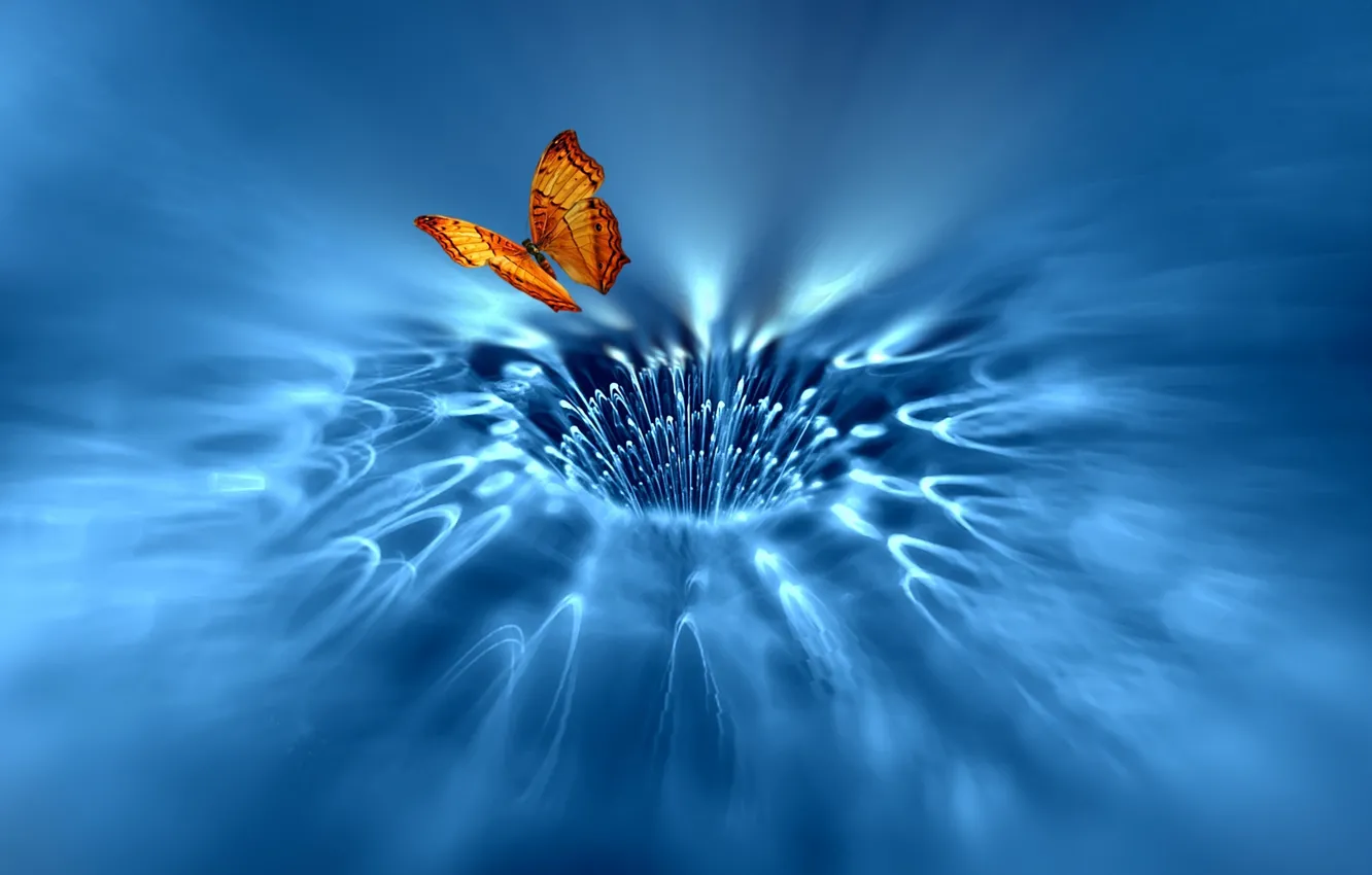 Photo wallpaper butterfly, wings, stream, art, the singularity